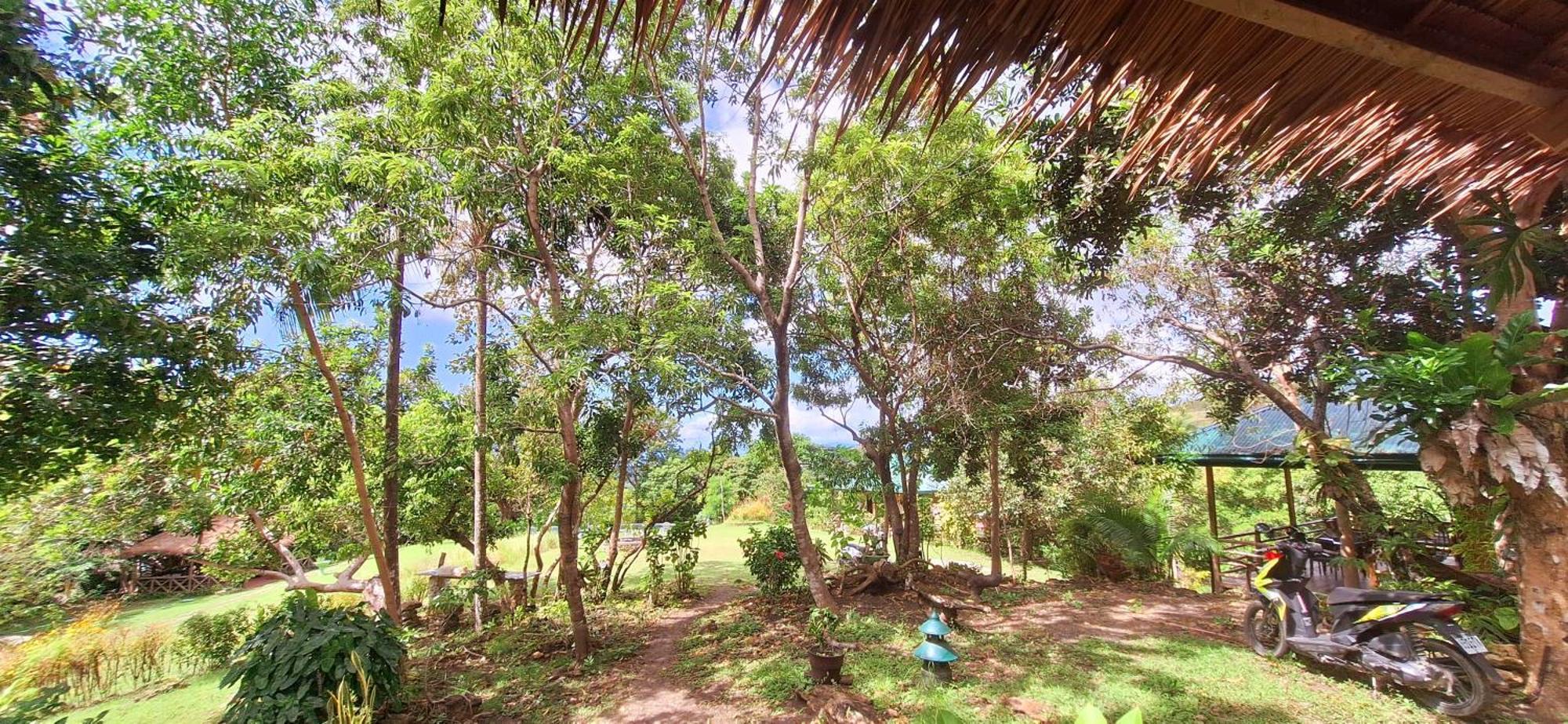 Om Horizon Ecoresort Tayong Dış mekan fotoğraf